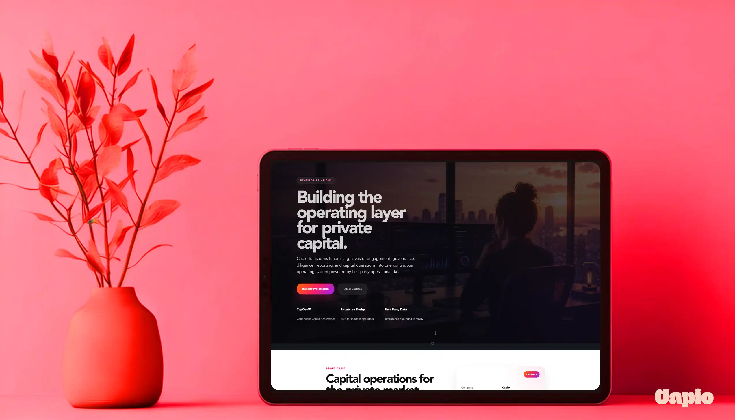 Capio investor data room interface